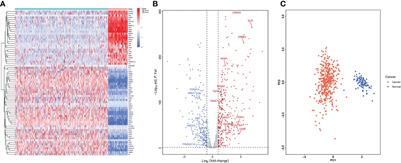 Construction of a prognostic signature for serous ovarian cancer based on lactate metabolism-related genes